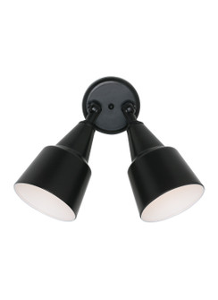 Flood Light Two Light Flood Light in Black (1|8607-12)