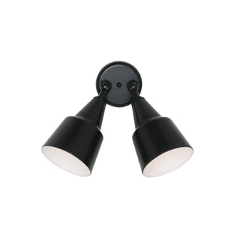 Flood Light Two Light Flood Light in Black (1|8607-12)