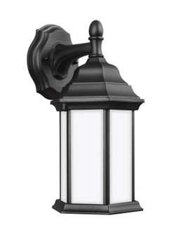 Sevier One Light Outdoor Wall Lantern in Black (1|8338751EN3-12)