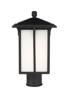 Tomek One Light Outdoor Post Lantern in Black (1|8252701EN3-12)