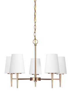 Driscoll Five Light Chandelier in Satin Brass (1|3140405-848)