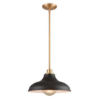 Grenville One Light Pendant in Brushed Gold (45|89434/1)