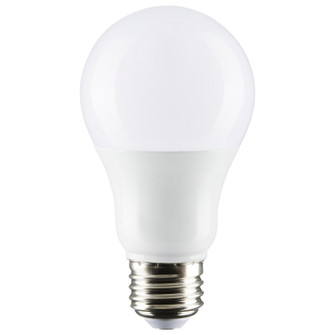 Light Bulb in Frost (230|S11448)
