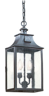 Newton Two Light Hanging Lantern in Soft Off Black (67|F9004-SFB)