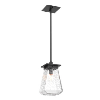 Outdoor Lighting One Light Pendant in Textured Black (404|OPB0043-AH-TB-C-001-E2)