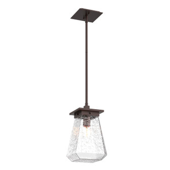Outdoor Lighting One Light Pendant in Statuary Bronze (404|OPB0043-AH-SB-C-001-E2)