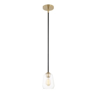 Fusion One Light Pendant in Matte Black w/ Brass (102|FSN-8103-CLER-MBBR)