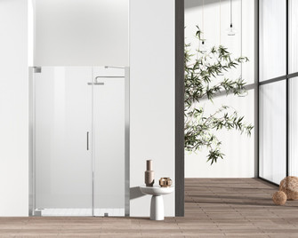 Carson Shower Door in Brushed Nickel (173|SD404-4872BNK)