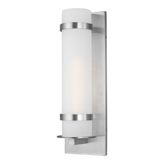 Alban One Light Outdoor Wall Lantern in Satin Aluminum (1|8718301EN3-04)