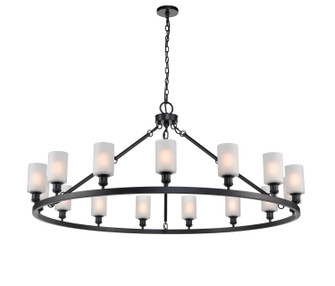 Ballston 20 Light Chandelier in Matte Black (405|860-BK-G804)