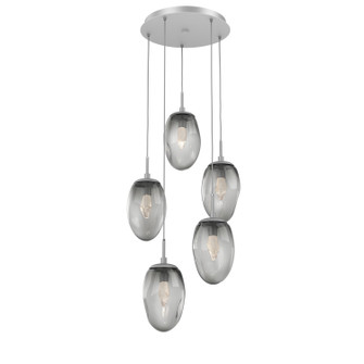 Meteo LED Pendant in Classic Silver (404|CHB0067-05-CS-GS-C01-L3)