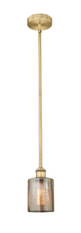 Edison One Light Mini Pendant in Brushed Brass (405|616-1S-BB-G116)