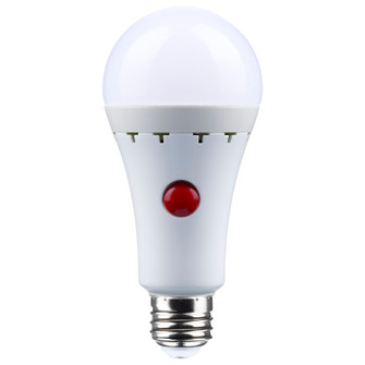 Light Bulb in Frost (230|S11468)