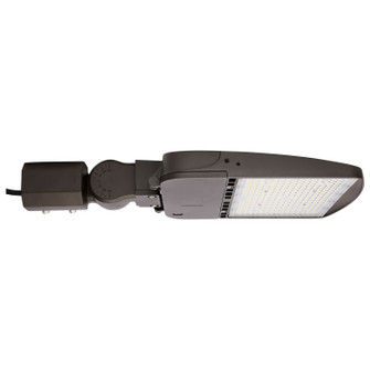 LED Area Light in Bronze (72|65-864-5)