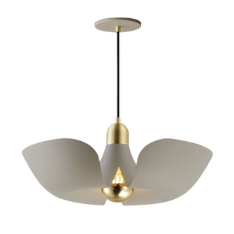 Poppy LED Pendant in Silver Gold / Satin Brass (16|11392SGSBR)