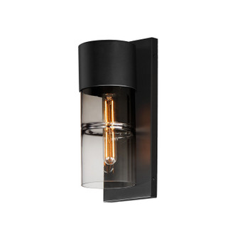 Smokestack LED Outdoor Wall Sconce in Black (86|E26142-142BK)