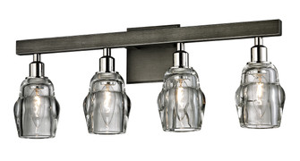 Citizen Four Light Bath and Vanity in Graphite And Polished Nickel (67|B6004-GRA/PN)