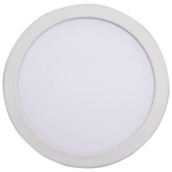 LED Downlight in White / Red (230|S11866)