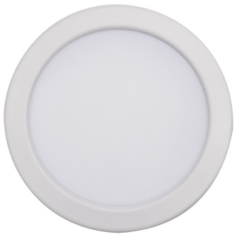 LED Downlight in White and Red (230|S11864)