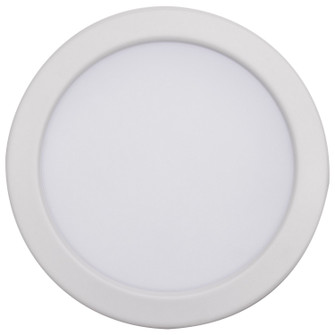 LED Downlight in White / Red (230|S11864)
