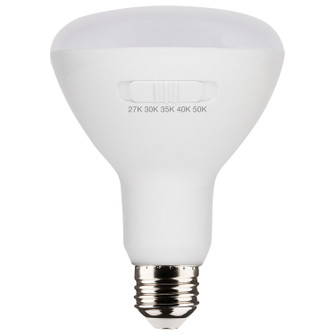 Light Bulb in White (230|S11780)