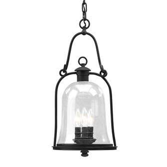 Owings Mill Three Light Hanging Lantern in Texture Black (67|F9467-TBK)