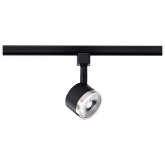 LED Track Head in Matte Black / Brushed Nickel (72|TH636)