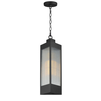 Triform One Light Outdoor Pendant in Black / Antique Brass (16|30764CRBKAB)