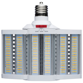 LED Shoe Box Lamp in White (230|S28932R1)