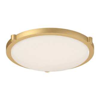 Floyd LED Flush Mount in Brushed Gold (347|501122BG-LED-5CCT)