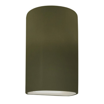 Ambiance One Light Outdoor Wall Sconce in Matte Green (102|CER-5260W-MGRN)
