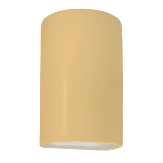 Ambiance One Light Outdoor Wall Sconce in Muted Yellow (102|CER-1265W-MYLW)