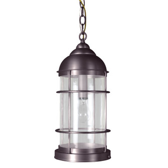 Nautical One Light Hanging Lantern in Dark Brass (196|3532-DB-MED-FST)