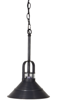 Barn One Light Hanging Lantern (196|34202-DB-MED-CSG)