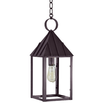 Winnicutt One Light Hanging Lantern in Dark Brass (196|11942-DB-MED-CLR)