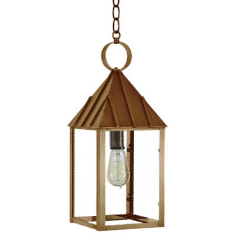 Winnicutt One Light Hanging Lantern in Antique Brass (196|11942-AB-MED-CSG)