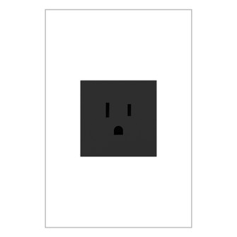 adorne 15A Single Tamper-Resistant Outlet in Graphite (246|ARTR151G10)