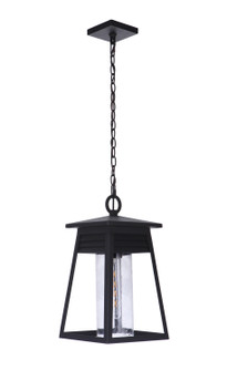 Becca One Light Outdoor Pendant in Textured Black (46|ZA2721-TB)