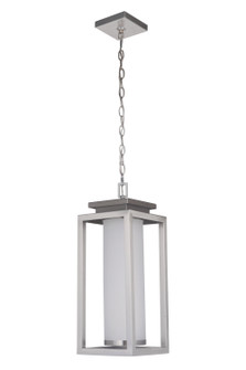 Vailridge LED Pendant in Stainless Steel (46|ZA1321-SS-LED)