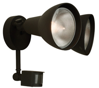 Flood Two Light Covered Flood with Motion Sensor in Textured Black (46|Z402PM-TB)