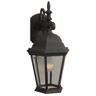 Straight Glass Cast One Light Wall Mount in Textured Black (46|Z254-TB)