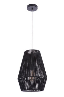 Pendant One Light Pendant in Flat Black (46|P2009-FB)
