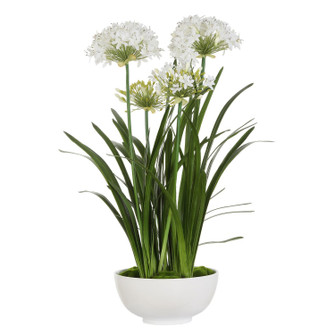 Purity Agapanthus Centerpiece in Gloss White (52|60221)