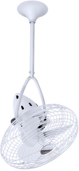 Jarold Direcional 13'' Ceiling Fan in Gloss White (101|JD-WH-MTL)