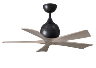 Irene-5 42'' Ceiling Fan in Matte Black (101|IR5-BK-GA-42)