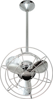 Bianca Direcional 13'' Ceiling Fan in Polished Chrome (101|BD-CR-MTL-DAMP)