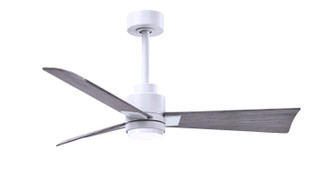 Alessandra - LK 42'' Ceiling Fan in Matte White (101|AKLK-MWH-BW-42)