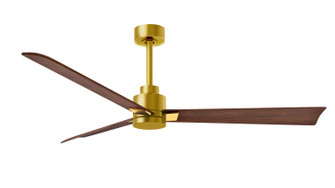 Alessandra 56'' Ceiling Fan in Brushed Brass (101|AK-BRBR-WN-56)