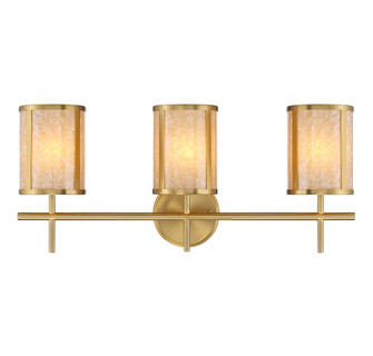 Camden Three Light Bathroom Vanity in Warm Brass (51|8-2055-3-322)