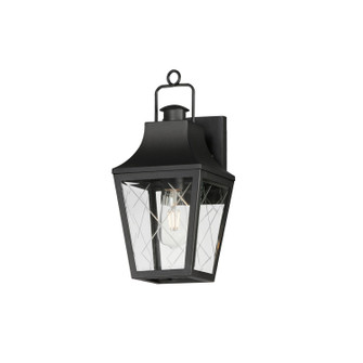 Storybook One Light Outdoor Wall Sconce in Black (16|30361CLBK)